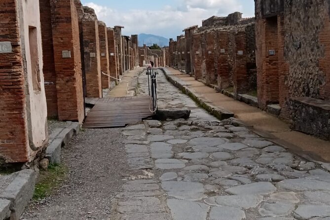 Day Tour Archaeological Site Of Pompei And Herculaneum - Exploring Pompeii and Herculaneum