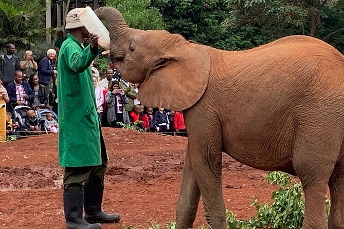 Day Tour to Nairobi National Park, Elephants, and Giraffe Center - Accessibility Features