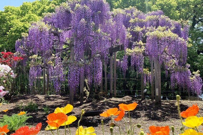 Day Trip Ashikaga Flower Park by Private Car From Tokyo - Getting to Ashikaga Flower Park