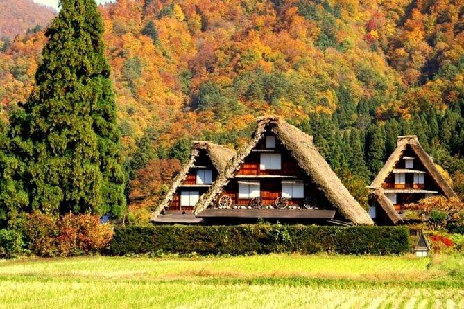 Day Trip for Shirakawago ,Takayama & Gujo Hachiman From Nagoya