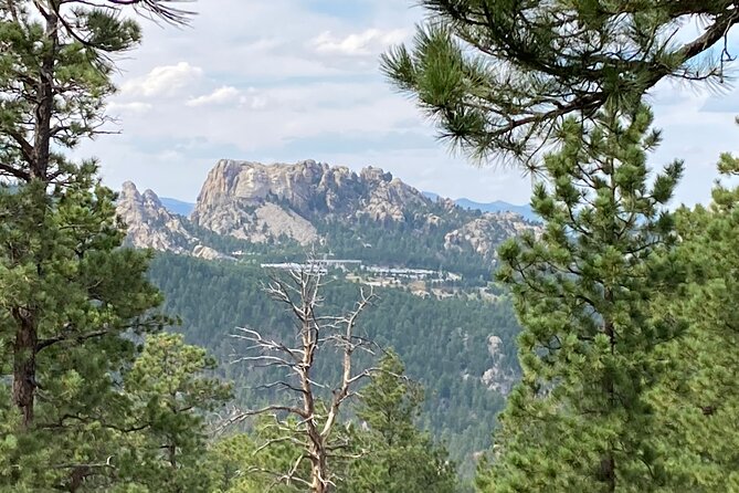 Day Trip of the Black Hills: Mount Rushmore to Custer State Park! - Guest Experiences and Recommendations