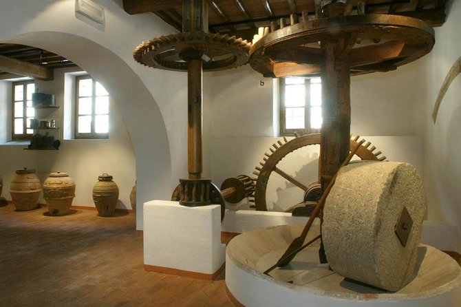 Day Trip: Olive Oil And Wine Museum With Lunch + Horse Riding - Horse Riding Experience