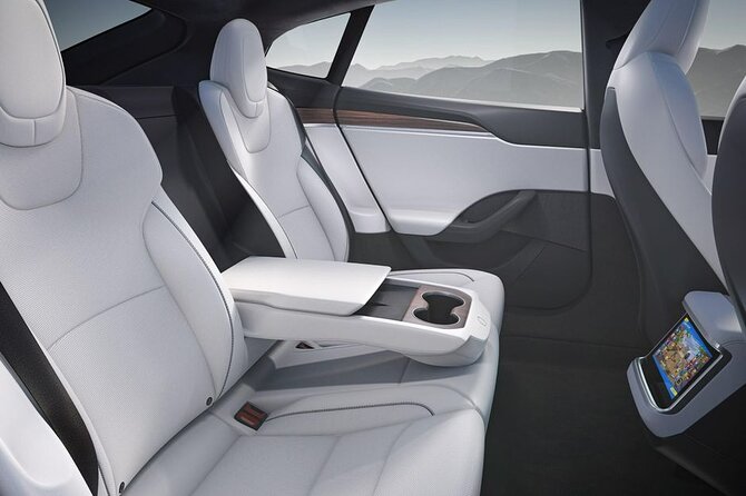 Departure Private Transfer: Las Vegas to Las Vegas Airport by Electric Vehicle - Luggage and Accessibility