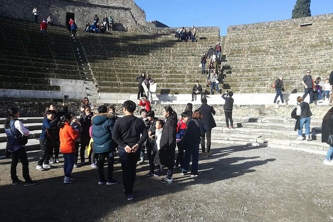 Destruction, Death and Rebirth of Pompeii, Private Visit in the Afternoon. - Traveler Testimonials and Insights