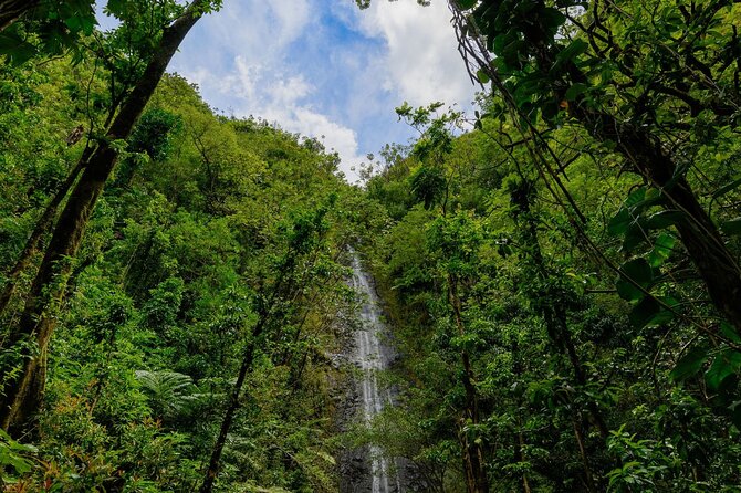 Diamond Head and Manoa Falls Hike and Adventure Tour - Tips for a Memorable Adventure