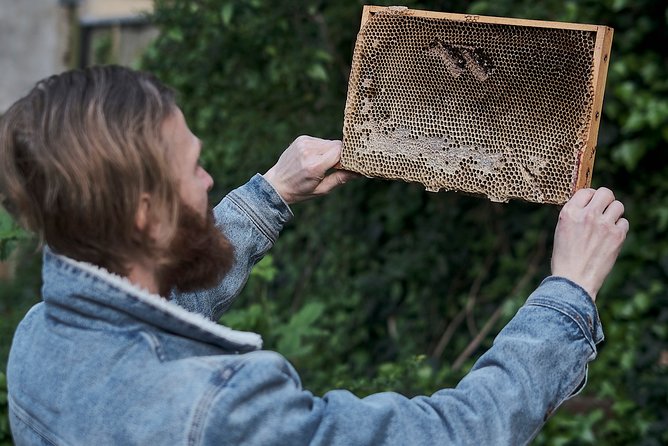 Discover Active Beehives in London - Inclusions and Exclusions