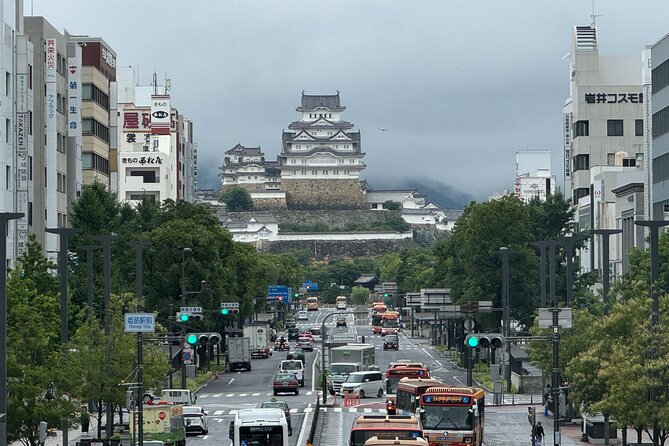 Discover Every Bit of Himeji Castle - World Heritage Near Osaka - Exploring the Castle Grounds