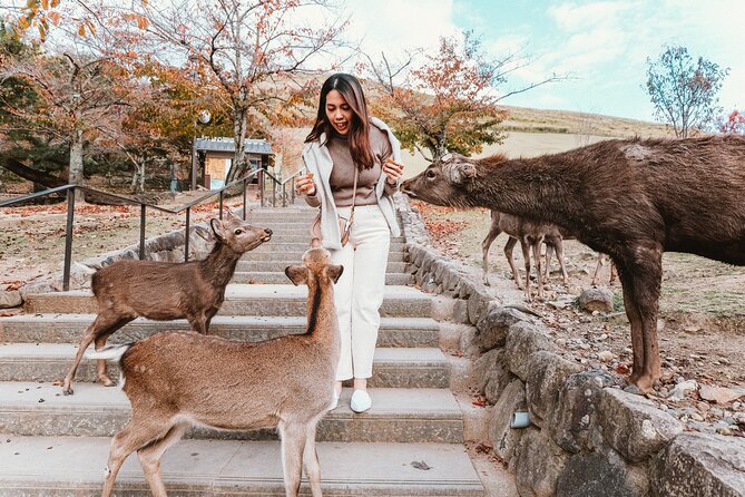 Discover Nara Park, Kyoto Highlights and Fushimi Inari From Osaka - Discovering Nara Park