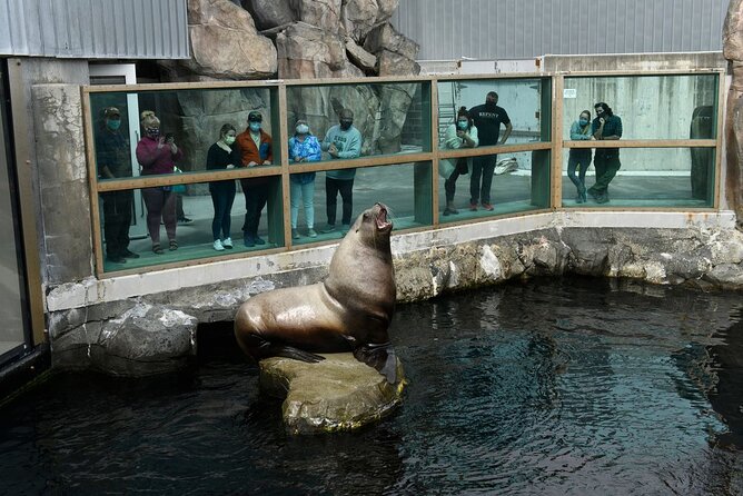 Discover Seward: Self-Guided Audio Tour Review - Booking and Practical Information