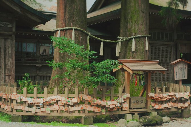 Divine Footsteps & Anime Locations: Takachiho One Day Bus Tour - Takachiho Boat Experience