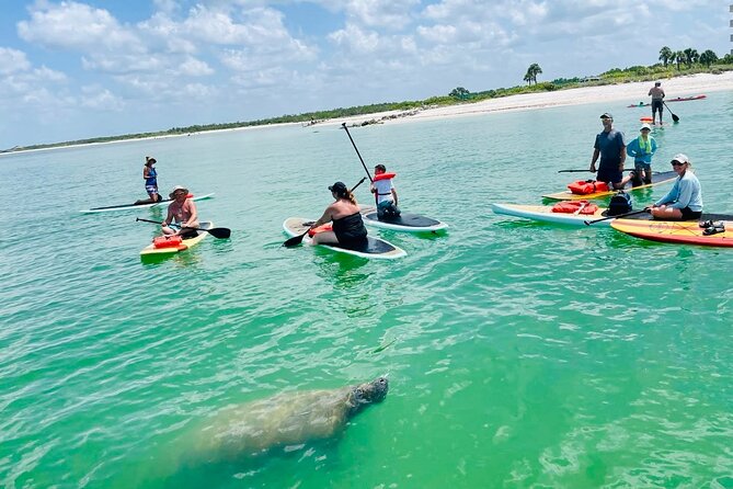 Dolphin, Manatee and Sea Turtle Adventure Tour Review - Overall Impression
