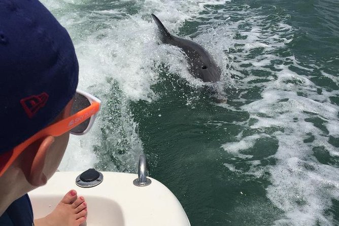 Dolphin Tours - Fort Myers Beach / Naples - Exploring Estero Bay and the Gulf of Mexico
