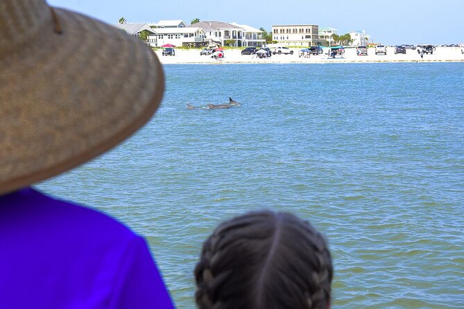 Dolphin Watch & Historical Harbor Tour in St. Augustine - Exploring the Dolphin Habitat