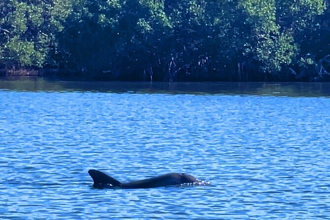 Dolphin Watching Boat Tour Around Anna Maria Island - Cancellation and Booking Policy
