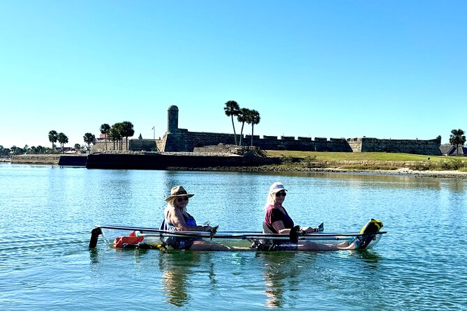 Dolphins and Wildlife Ecotour - Exploring the Coastal Ecosystem