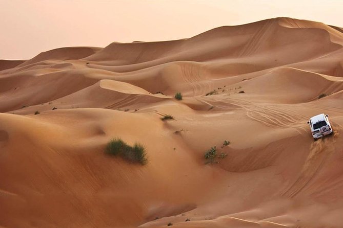 Dubai Desert Safari - Land Cruiser Pickup/Drop off - Customer Feedback and Ratings