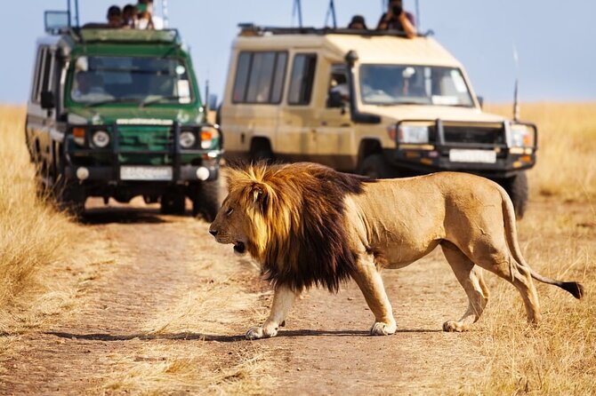 Dubai Safari Park With Transfer - Pricing Information