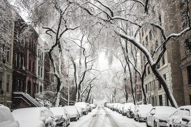 Dyker Heights Holiday Tour Review - Personalized Experience With a Brooklynite Host