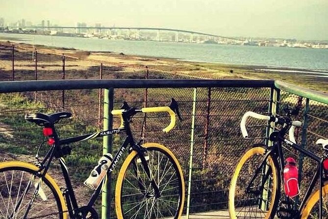 E-Bike Tours in Coronado Review - Traveler Reviews and Ratings