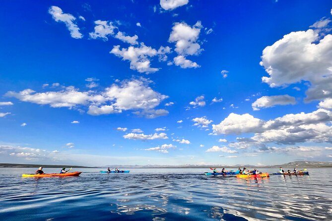Early Morning Guided Kayak Tour - Preparing for the Tour