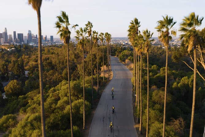 Eastside Express by Luxury E-Bike: LA River Frogtown Go Dodgers! - Capturing the Skyline From Elysian Park