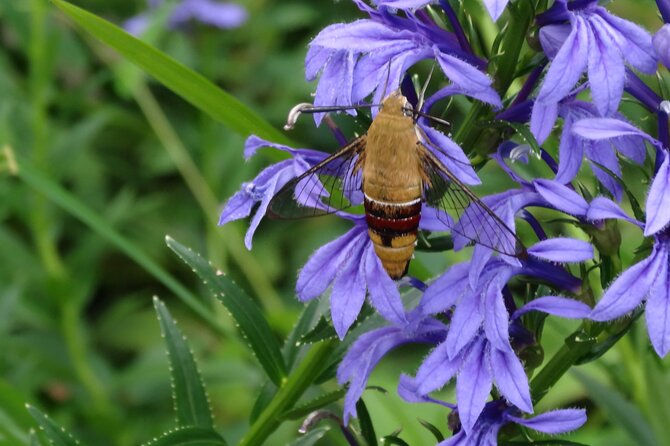 Easygoing Nature Walk in Hakone Tour - Meeting and Ending Points