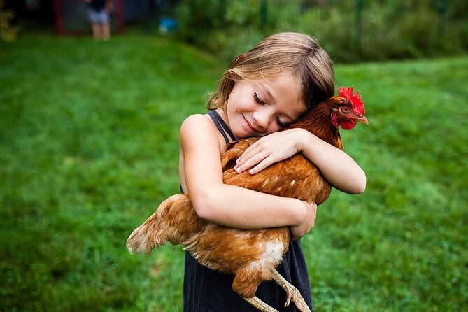 Educational Farm Adventure Tour Review - Frequently Asked Questions