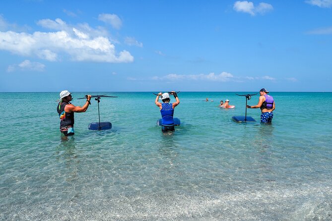 Efoil Lessons in Sanibel Island - Booking Your Experience