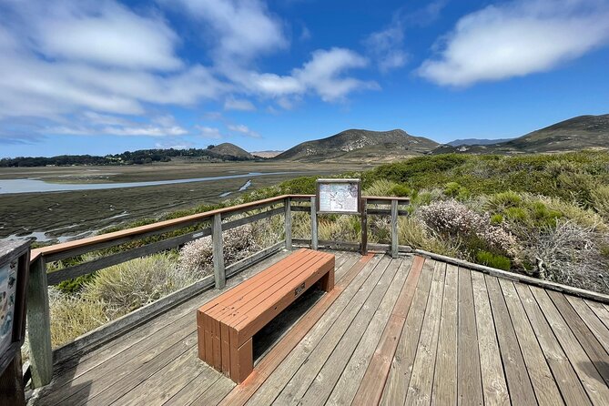 Elfin Forest Nature Tour With Local Sweet and Savory Tasting - Exploring the Elfin Forest