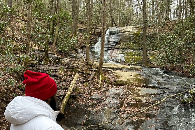 Elijay Hike W/ Waterfall & Wine Tasting Private Tour From ATL - Customer Reviews for the Elijay Hike W/ Waterfall & Wine Tasting Private Tour