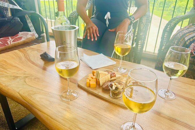 Elijay Three Vineyards Private Wine Tasting Tour From Atlanta - Wine Tasting Experiences at Engelheim and Canoe