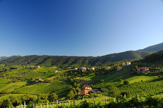 Emilia-Romagnas Typical Products Tasting Small Group Tour - Pricing Details