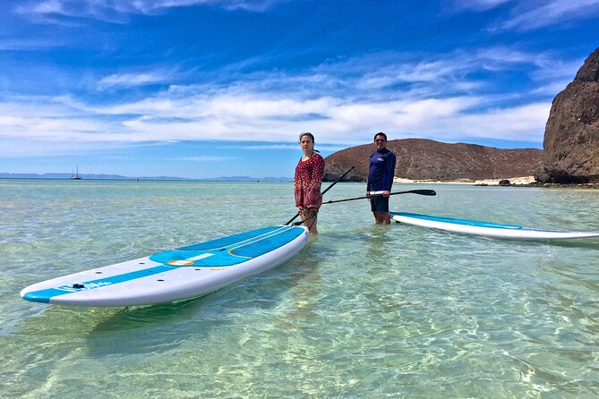 Espiritu Santo Island Combo: Sea Lions and Paddleboard 1 to 6 Private Group - Guest Reviews and Ratings