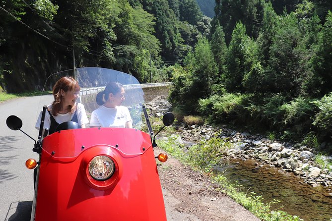 EV Car Rental Basket Group Local Tour & Guide - Highlights of the Tour