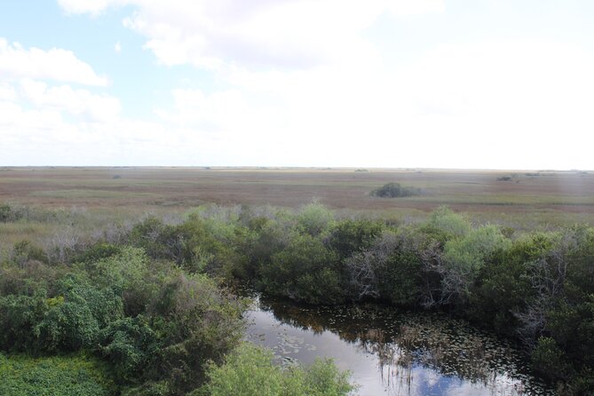 Everglades Eco Airboat Tour With Private Luxury Transportation - Tips for an Enjoyable Experience