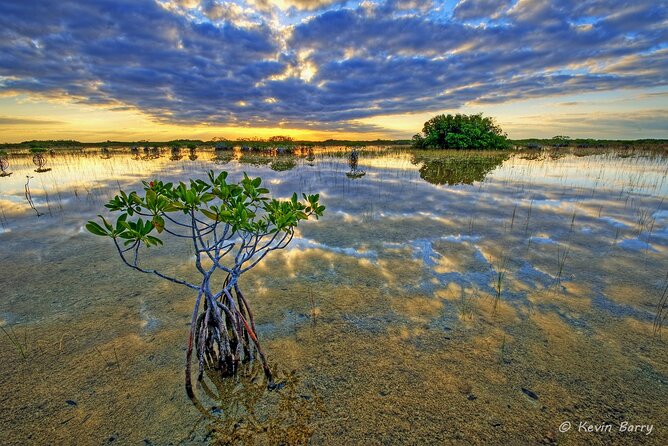 Everglades Mangrove Wilderness Boat Tour - Preparing for Your Boat Tour