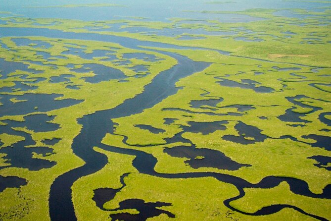 Everglades National Park Boat Tour - Experience the Everglades