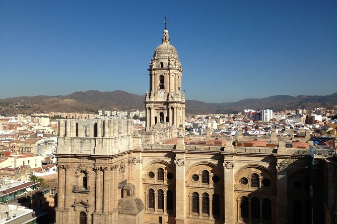 Exclusive Private Malaga Walking Tour by Pro-Licensed Tour Guides - Pricing Information