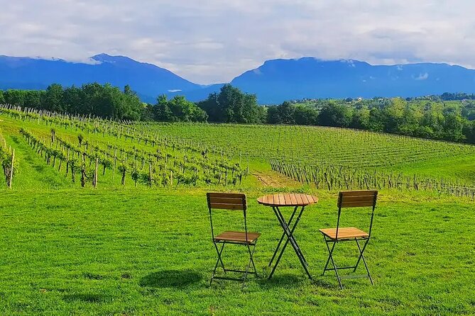 Exclusive Tasting of Superior Prosecco and Amarone - Additional Considerations