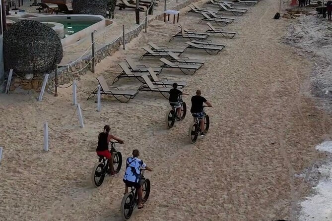 Excursion to Explore the City by Bike and Atypical Meal - Participation Requirements and Limitations