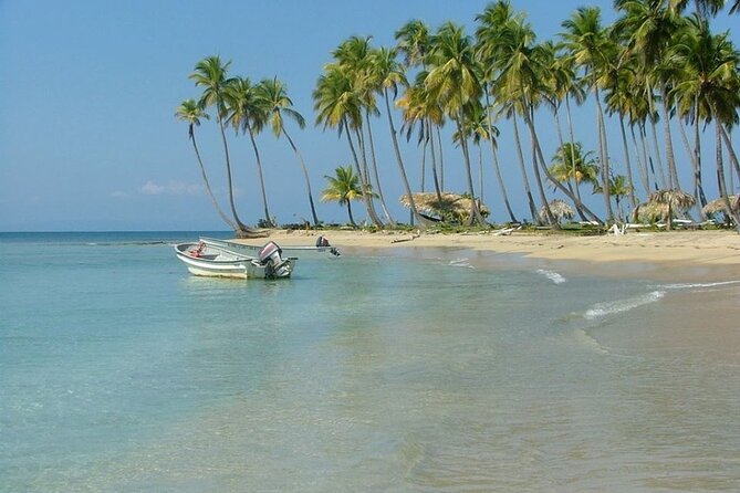 Experience Dominican Culture in This 3 in 1 Shared Tour - Cultural Immersion