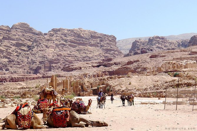 Experience Petra & Wadi Rum in One Day From Amman - Tips for a Great Experience