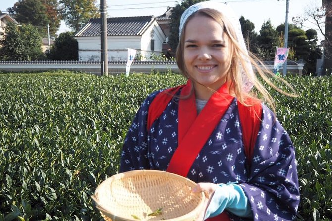 Experience Seasonal Green Tea Picking in Sayama and Nostalgic Walk in Kawagoe! - Tour Schedule