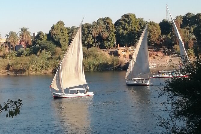 Explore Aswan and Nearby Temples - Accessibility and Additional Info