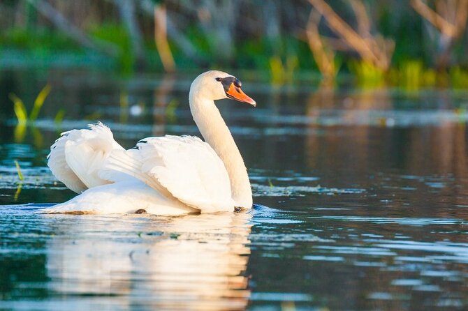 Explore Danube Delta and Black See in 2 Day Private Tour From Bucharest - Capture Memorable Moments With Photo Opportunities