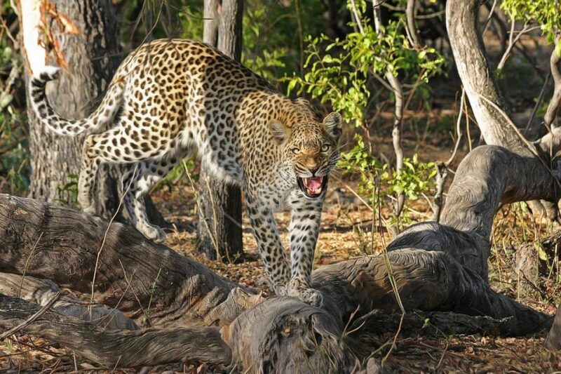 Explore Great Sri Lanka With Tourist Hot Spots in 6 Days - Booking Flexibility