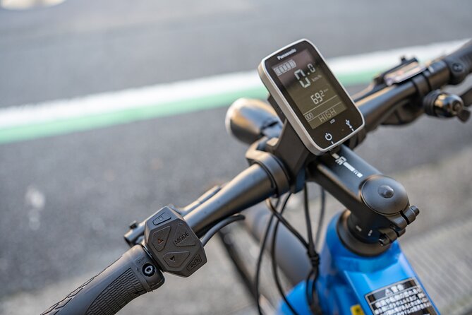 Explore Nature in Yoshino With E-Bike Tour - Scenic Routes and Attractions
