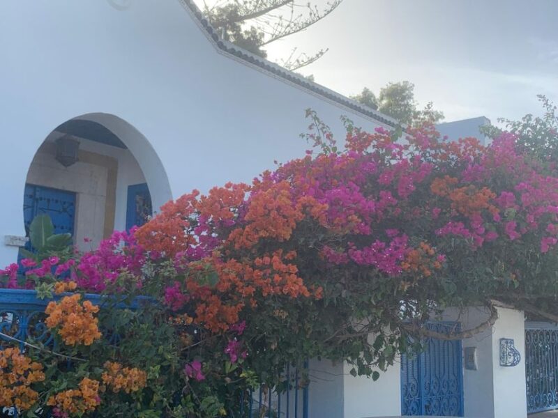 Explore the Essentials of Tunis in a Private Half Day 5 in 1 - Bardo National Museum Visit