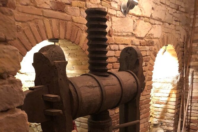 Extra Virgin Olive Oil Walking Tour With Lunch in the Museum - Indulge in Local Culinary Delights