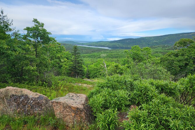 Fat Tire E-Bike Rental in Bar Harbor - Exploring Acadia National Park on an E-Bike